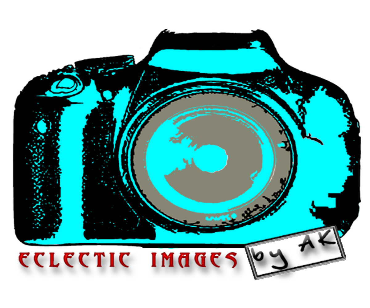 Logo Design by steve_rheza for this project | Design #2548675