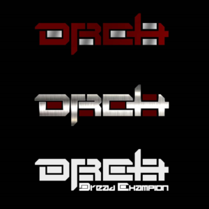 Diseño de Logo por ARtKISTA para este proyecto | Diseño: #14843467