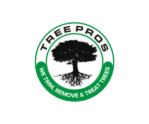 Logo Design by arsyacupid