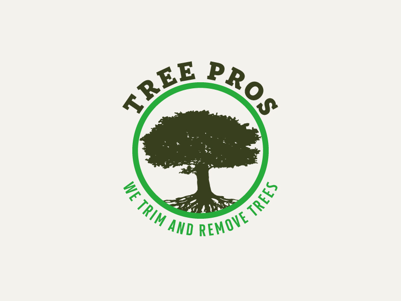 Logo Design by Patete Felix for this project | Design #14860183