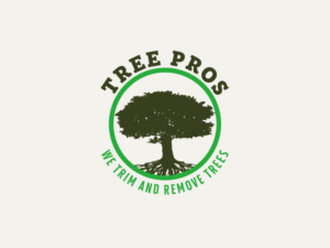 Logo Design by Patete Felix