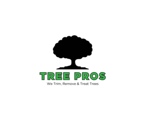 Diseño de Logo por KabhTech Studio para este proyecto | Diseño: #14841715