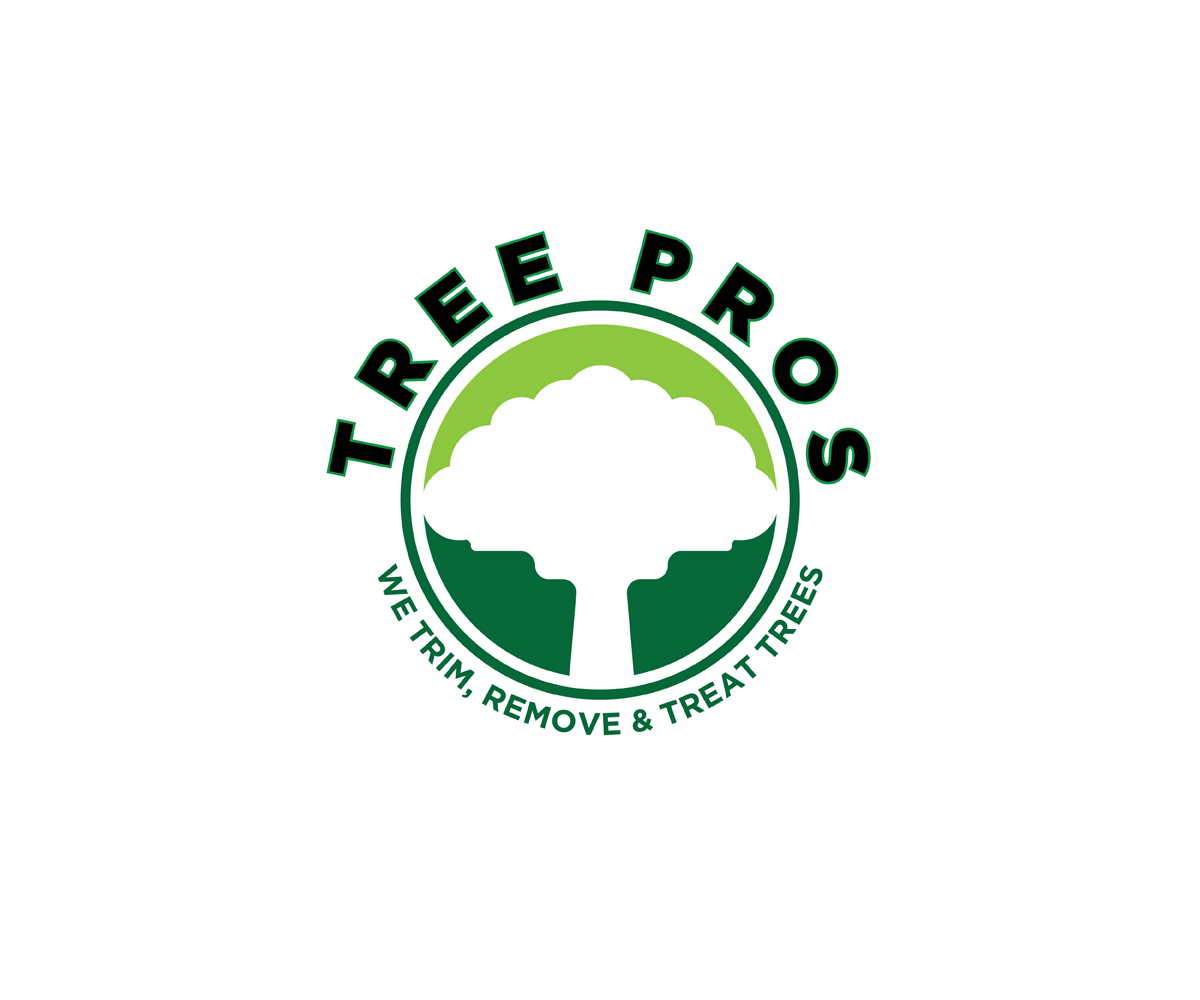 Diseño de Logo por KabhTech Studio para este proyecto | Diseño #14841716