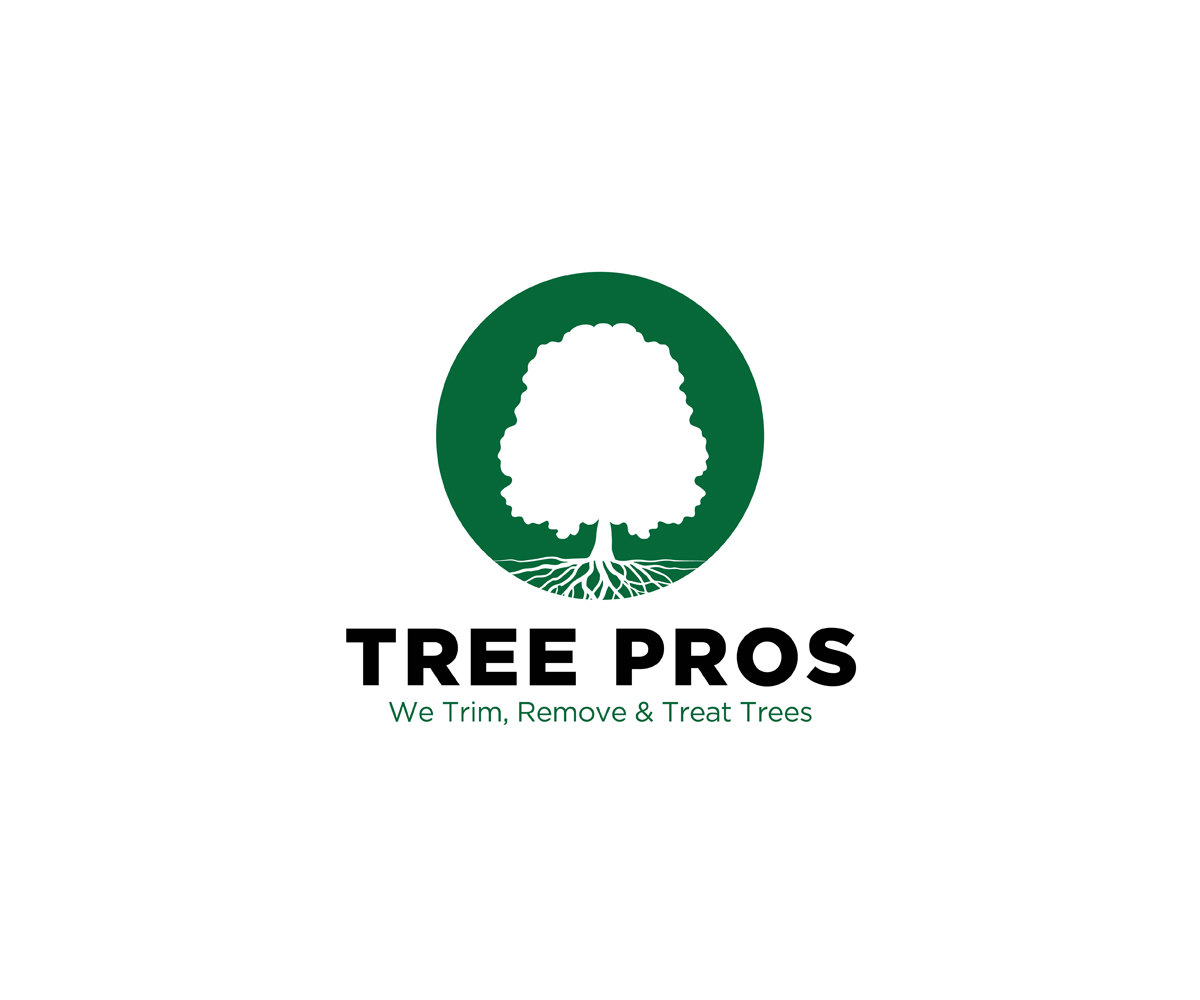 Design de Logo par KabhTech Studio pour ce projet | Design #14841717