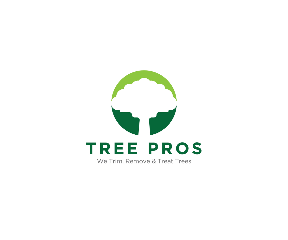 Design de Logo par KabhTech Studio pour ce projet | Design #14841718