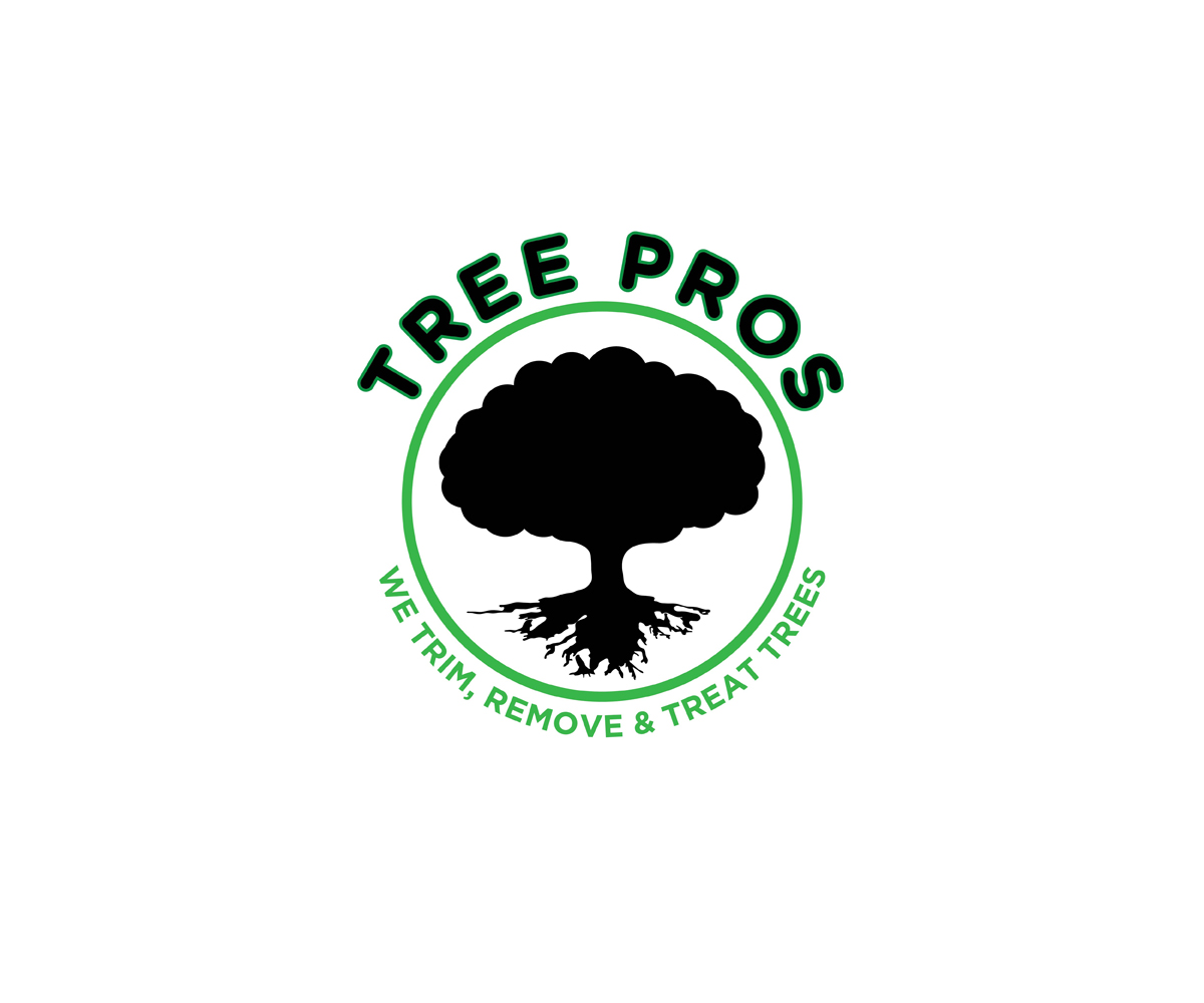 Design de Logo par KabhTech Studio pour ce projet | Design #14841719