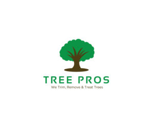 Diseño de Logo por KabhTech Studio para este proyecto | Diseño: #14841721