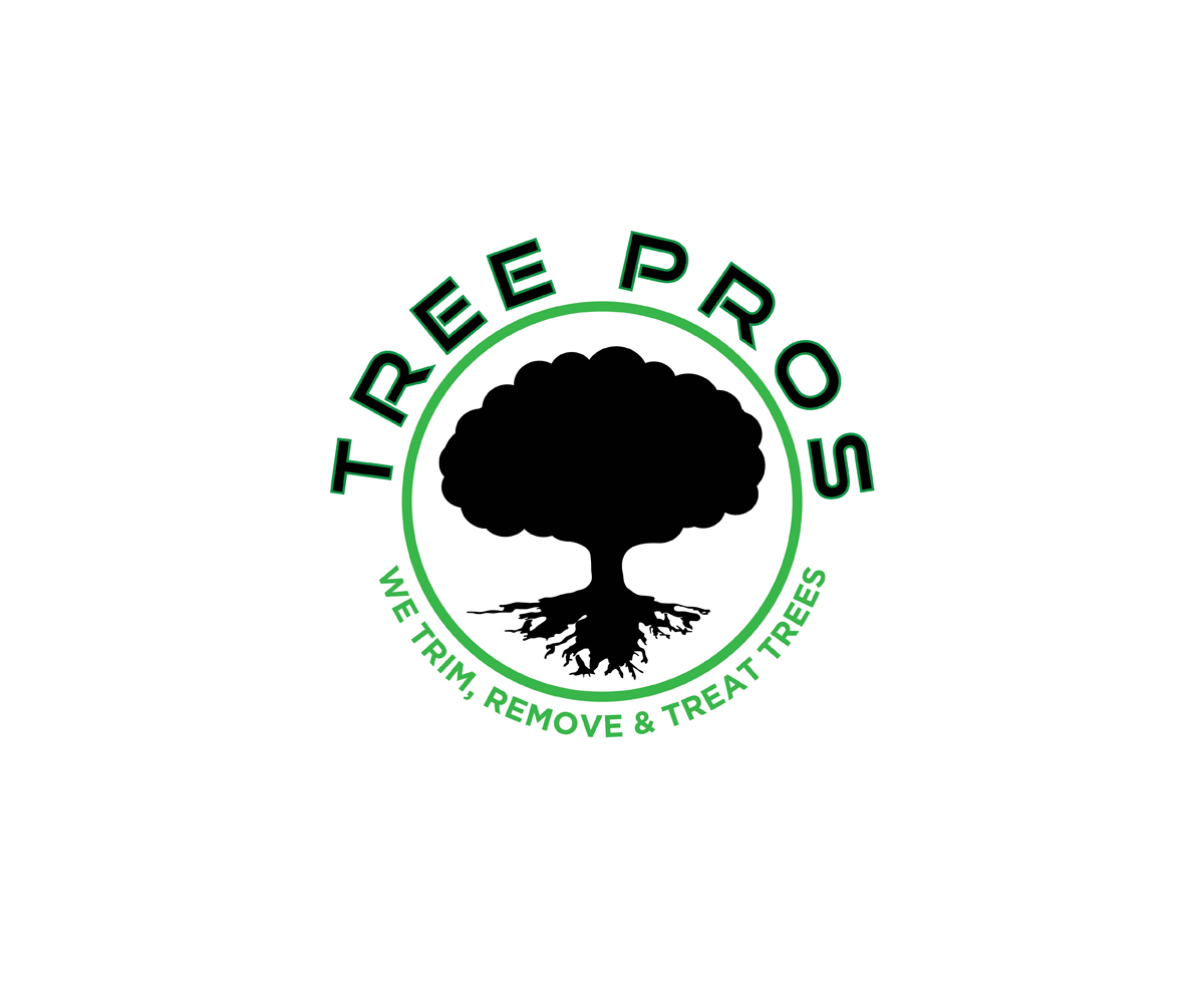 Diseño de Logo por KabhTech Studio para este proyecto | Diseño #14841722