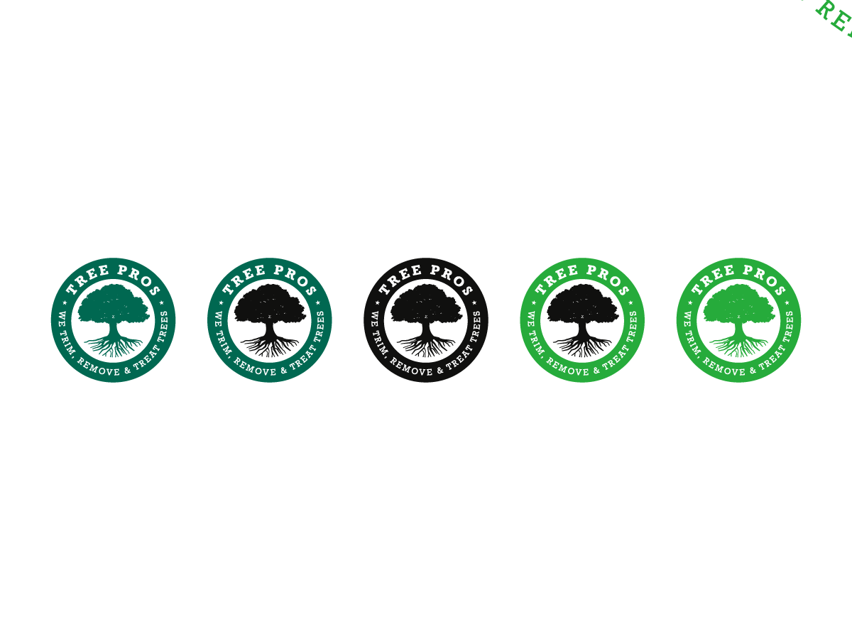 Design de Logo par Logo Guy pour ce projet | Design #14883713