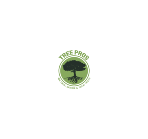 Diseño de Logo por Pixel Desert para este proyecto | Diseño: #14846037