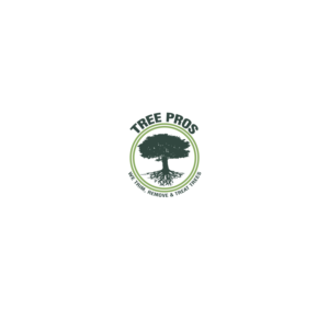 Diseño de Logo por Pixel Desert para este proyecto | Diseño: #14846038