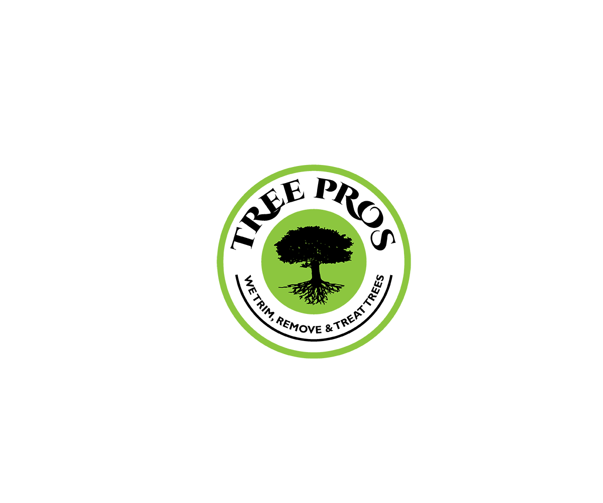 Logo-Design von saulogchito für dieses Projekt | Design #14905526