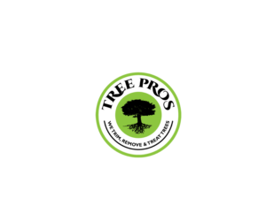 Logo Design by saulogchito for this project | Design: #14905526