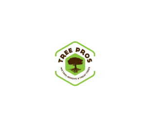 Logo Design by saulogchito for this project | Design: #14905541