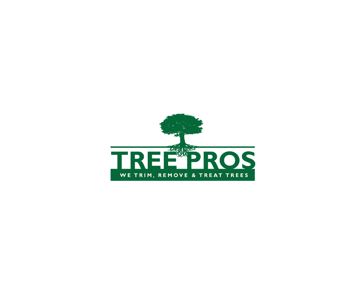 Diseño de Logo por saulogchito para este proyecto | Diseño #14905852