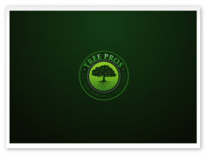 Logo Design by Syuhada for this project | Design: #14847535