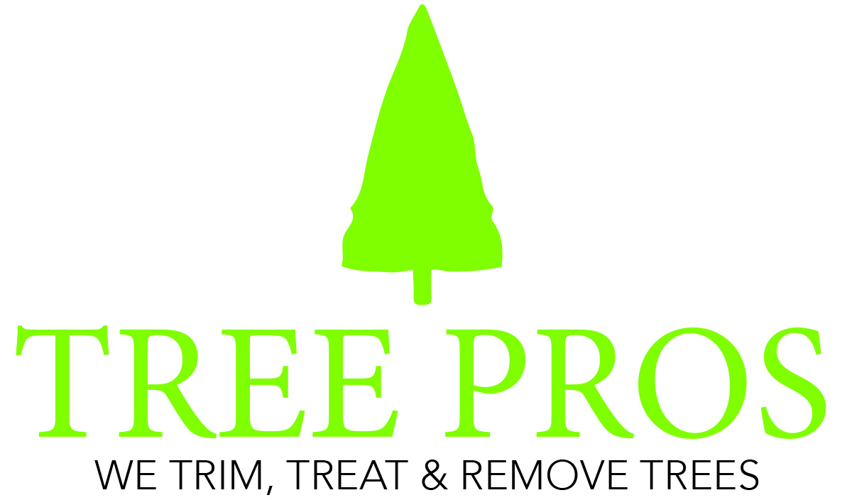 Logo-Design von Vivien54 für dieses Projekt | Design #14935148