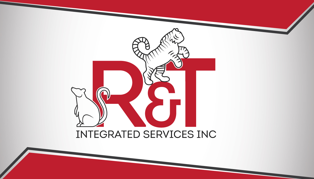 Stationery Design by Impressive Solutions for R&T Integrated Services | Design #14844777