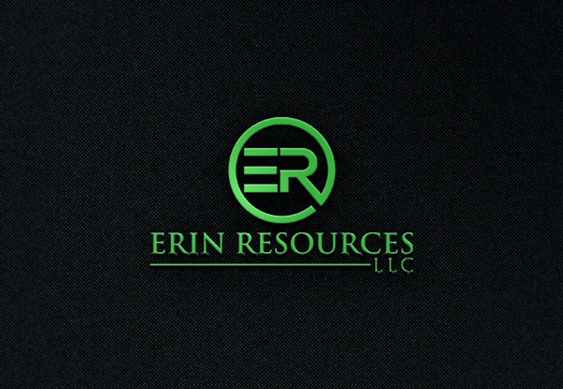 Diseño de Logo por asman para Enova Energy | Diseño #14865284