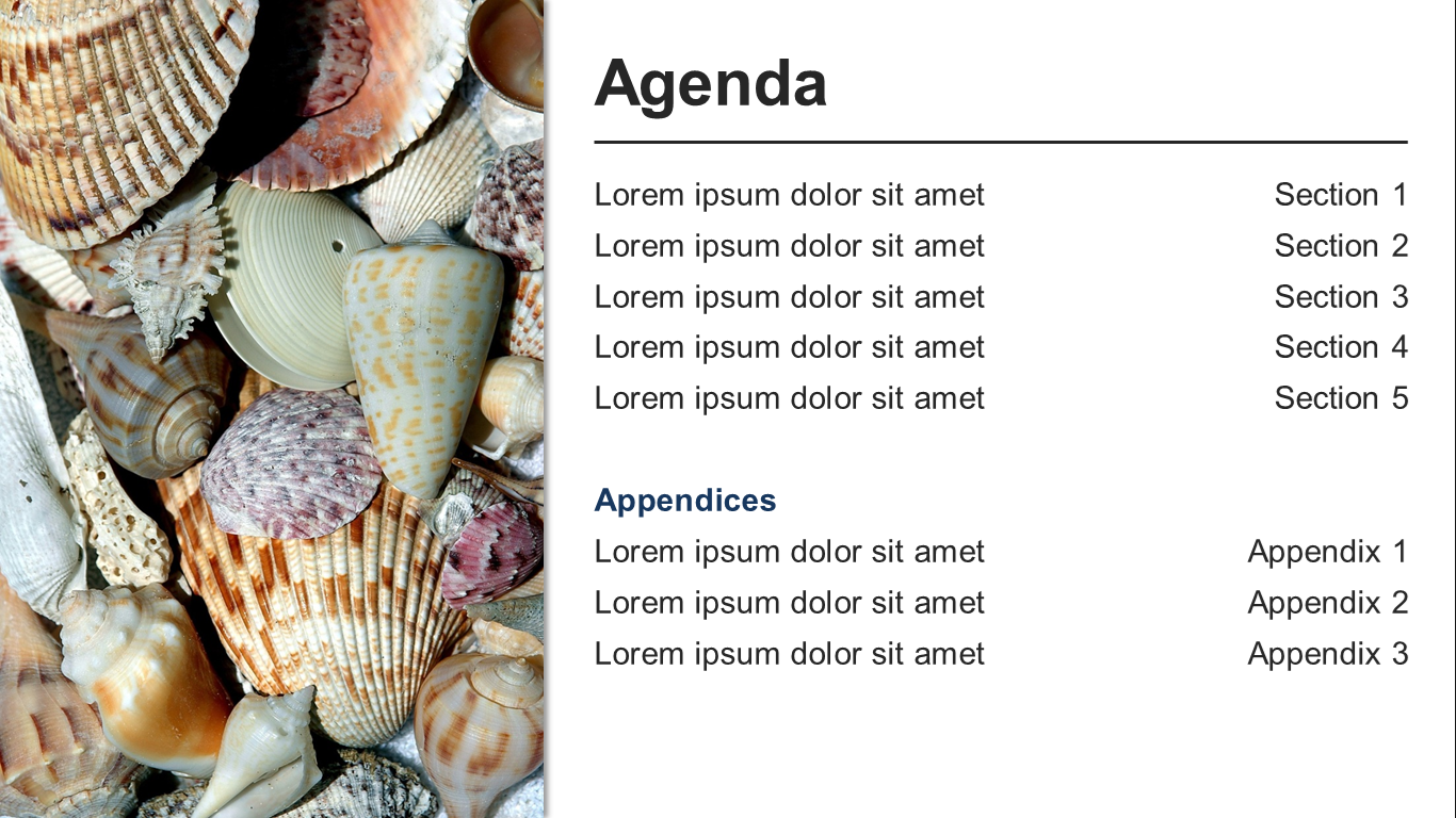 Design de PowerPoint par sachiesilva pour ce projet | Design #14876213