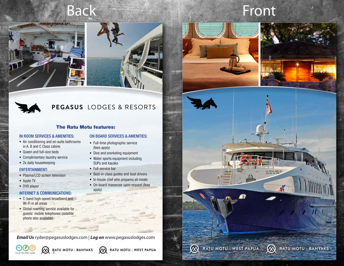 Flyer Design by theblueart for this project | Design #2556762