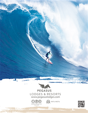 Flyer Design by Freelander11111