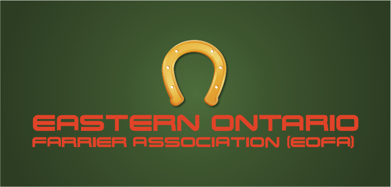 Logo Design by widget for this project | Design #14969493