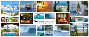 Graphic Design by Digital Wave for this project | Design #2556483
