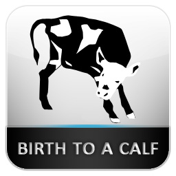 Icon Design by pb for this project | Design: #582797