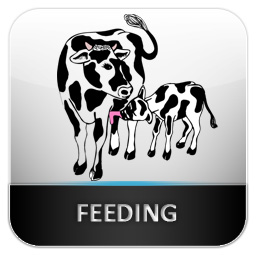 Icon Design by pb for this project | Design: #582798