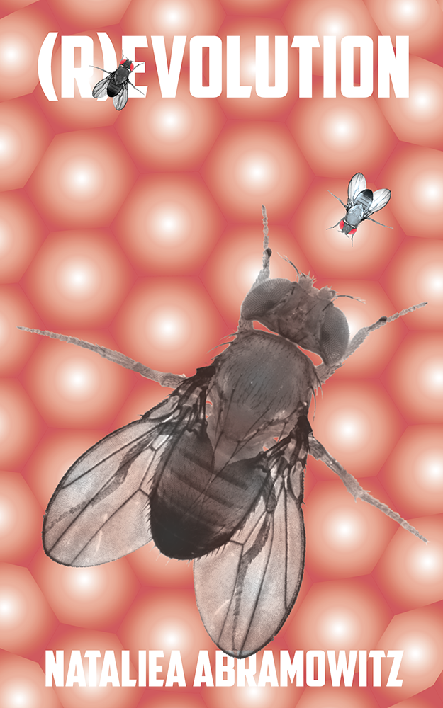 Book Cover Design by Digital Incarnate for this project | Design #2572282