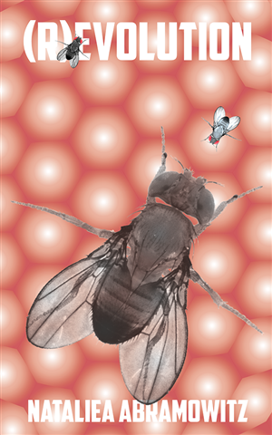 Buchumschlag Design von Digital Incarnate für dieses Projekt | Design: #2572282