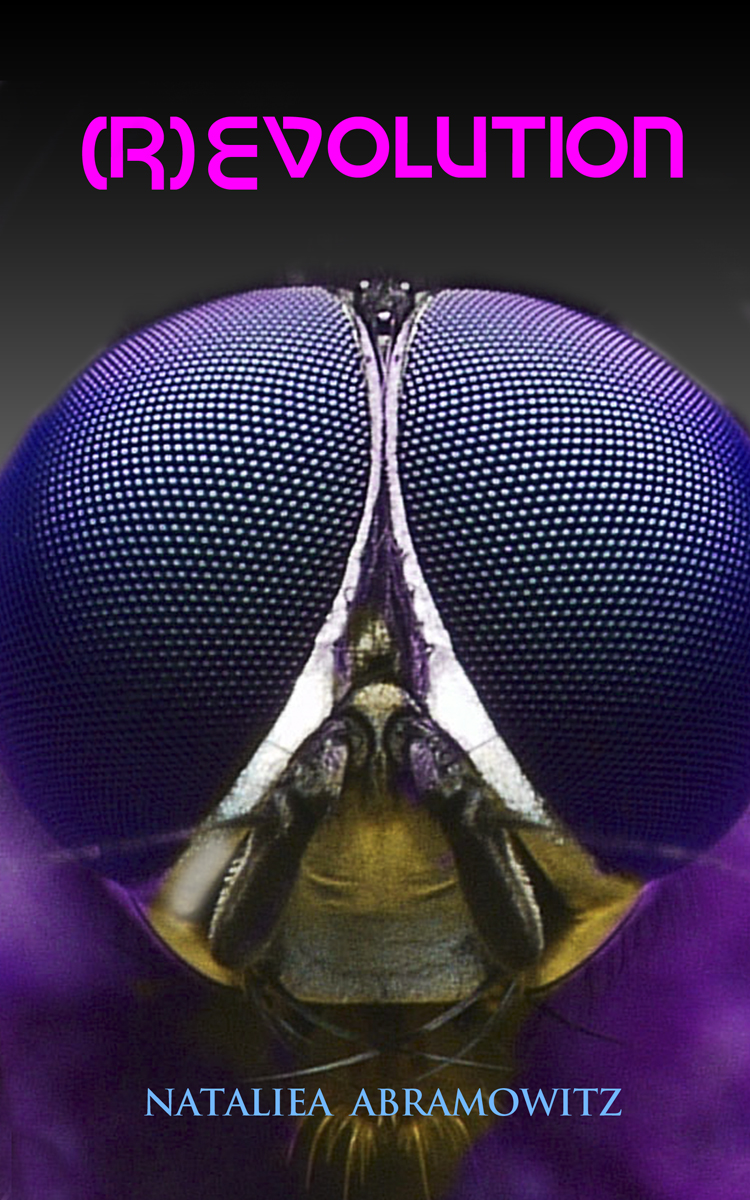 Book Cover Design by illuminati-design for this project | Design #2606541