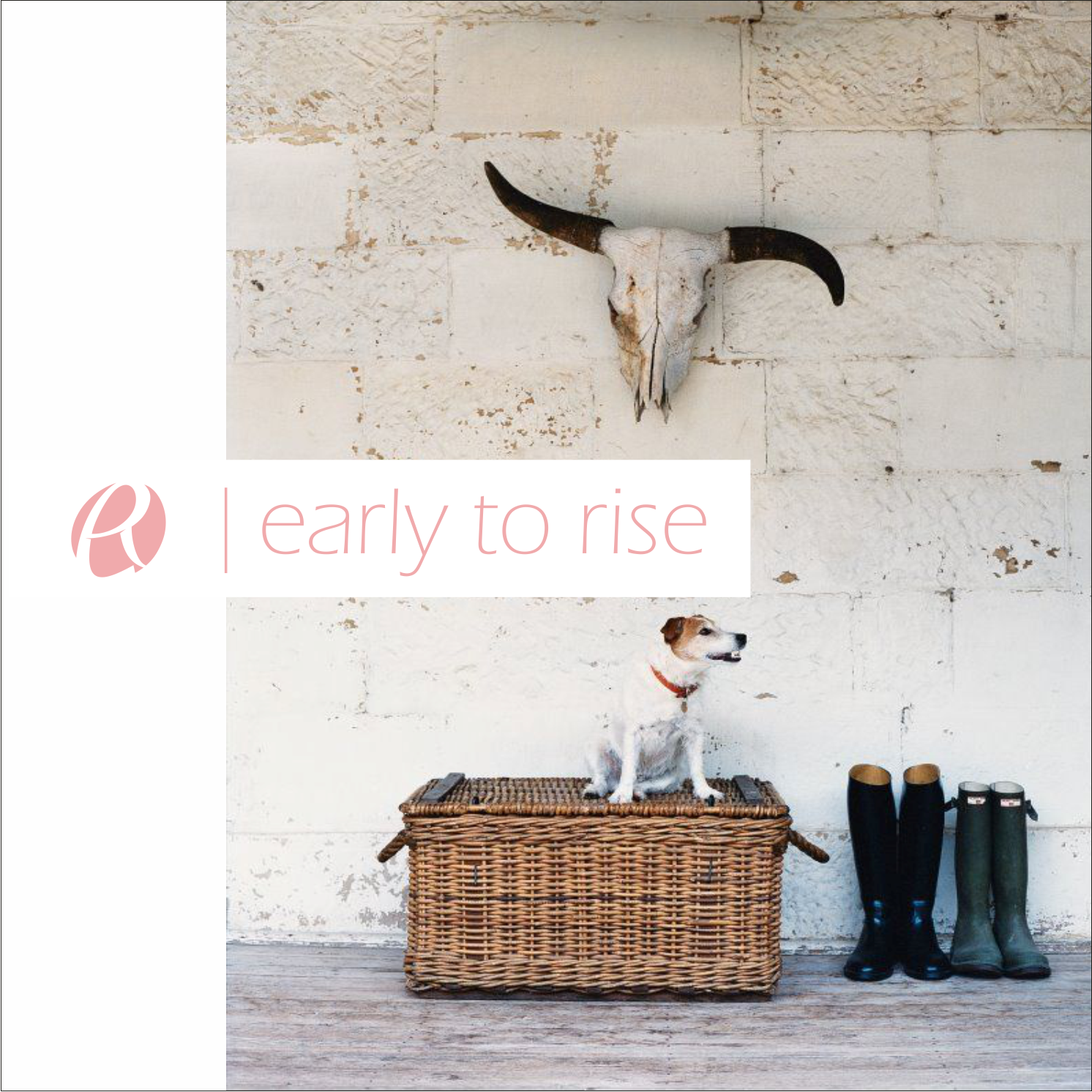 Diseño de Logo por kolevvp para este proyecto | Diseño #14997678