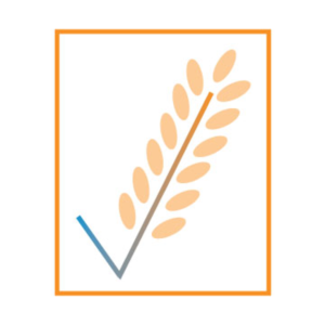 Logo Design by Diana's designs