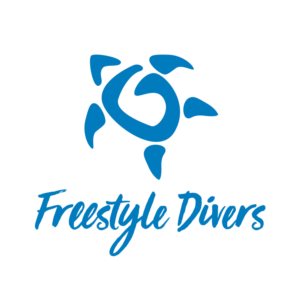 Logo Design by Roger Mateo Arenas for Freestyle Divers | Design #14882587