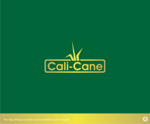 Logo Design by RKingz