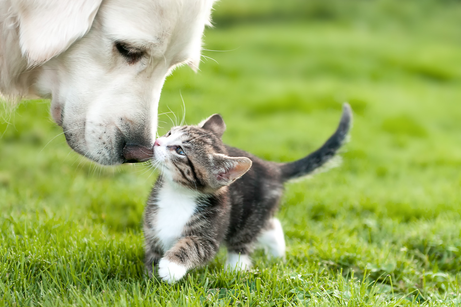 Photography by himma for DesignCrowd (Community Contests) | Design #15022107