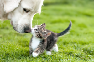 Photography by himma