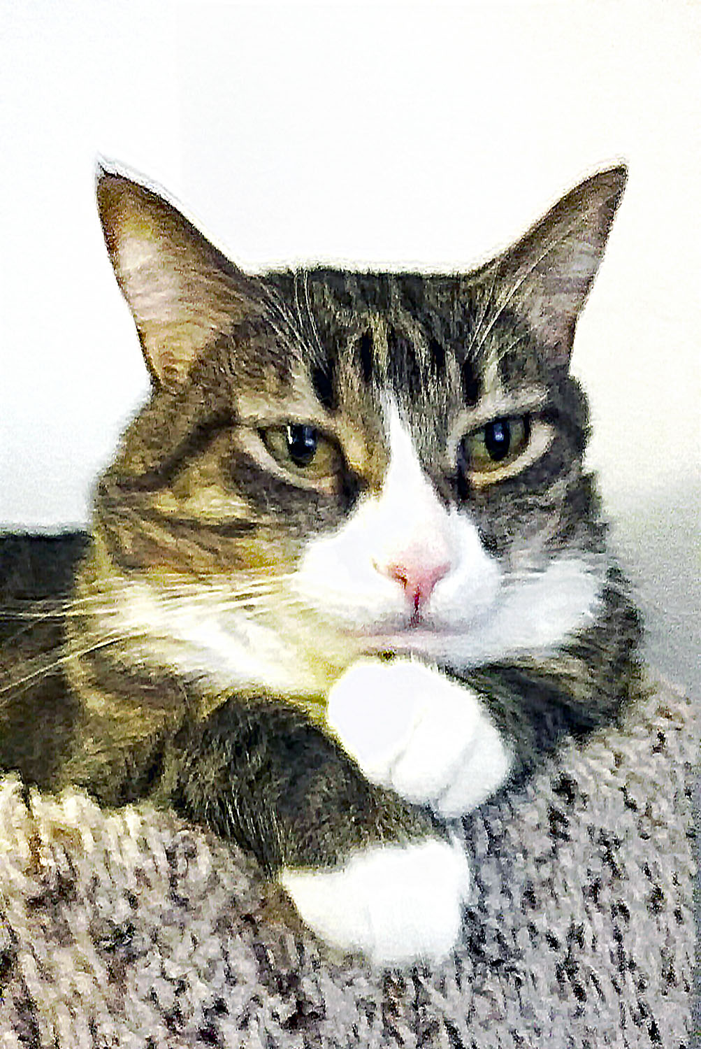 Photography by Tina Marie Doss for DesignCrowd (Community Contests) | Design #14901384