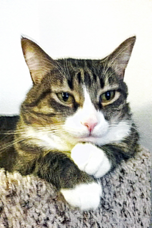 Photography by Tina Marie Doss