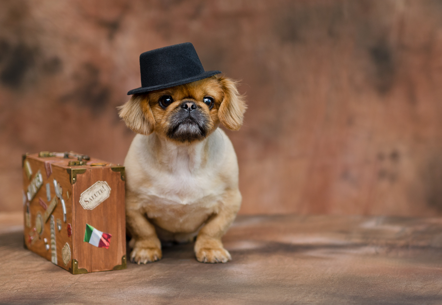 Photography by Claudita for DesignCrowd (Community Contests) | Design #14981862