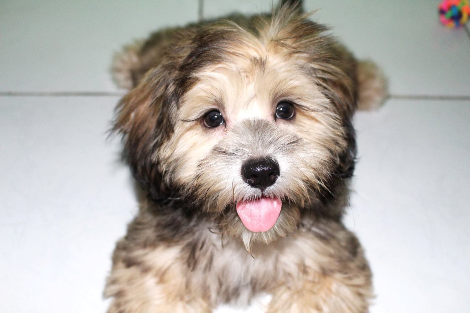 Fotografie von GMP für DesignCrowd (Community Contests) | Design #14955720