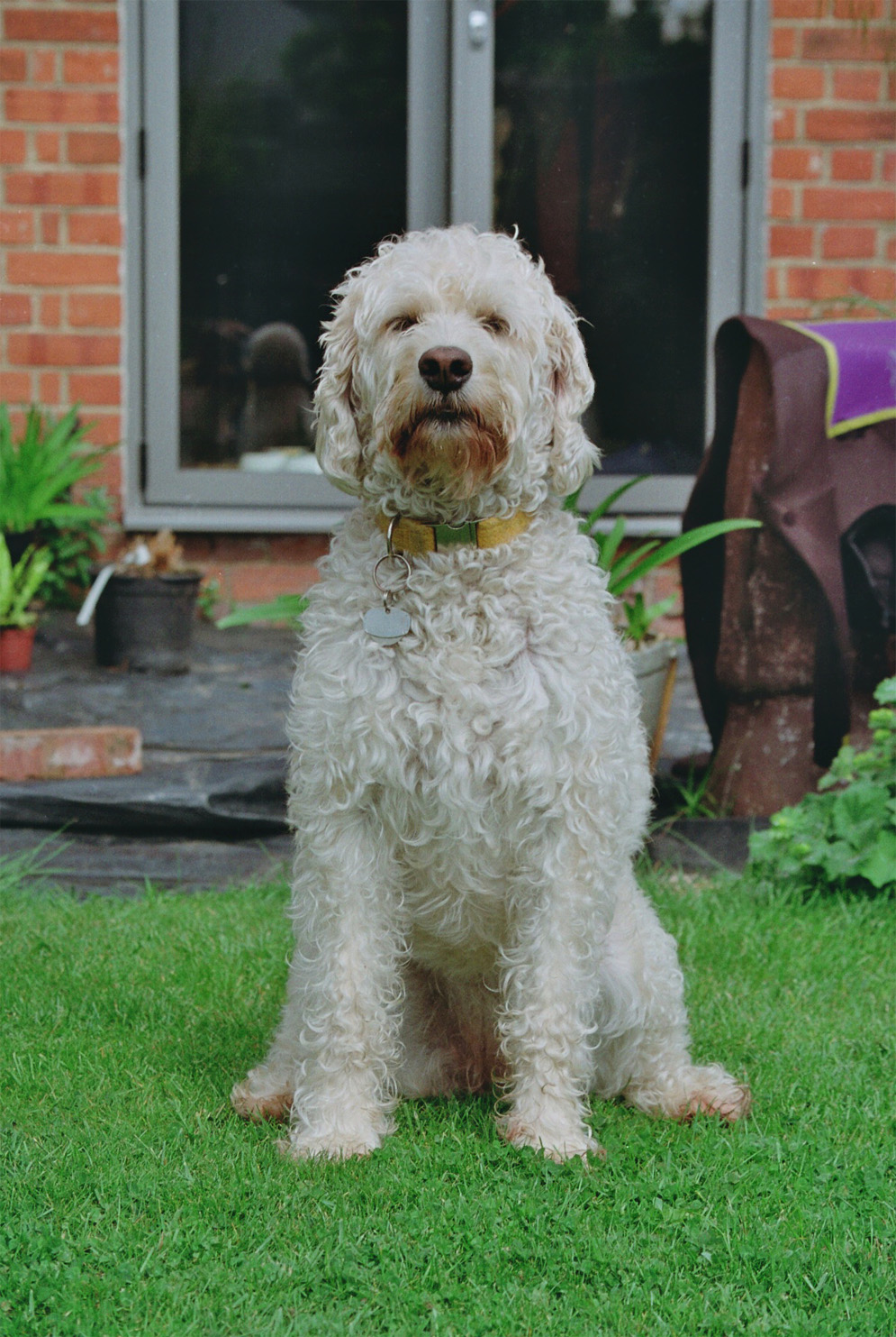 Photographie par Molly Bryan pour DesignCrowd (Community Contests) | Design #14998933