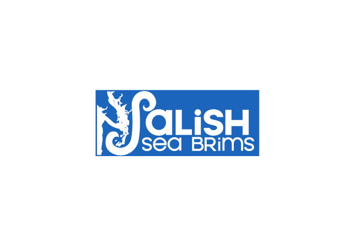 Logo Design by Digihexagon for this project | Design #14906085