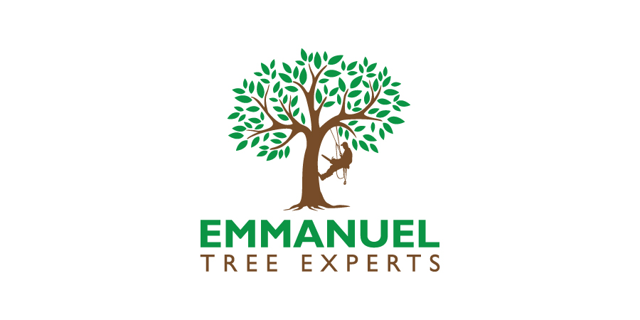 Logo-Design von debdesign für iProTechz LLC | Design #14904104