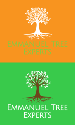 Logo Design by king solangi for iProTechz LLC | Design: #14899482