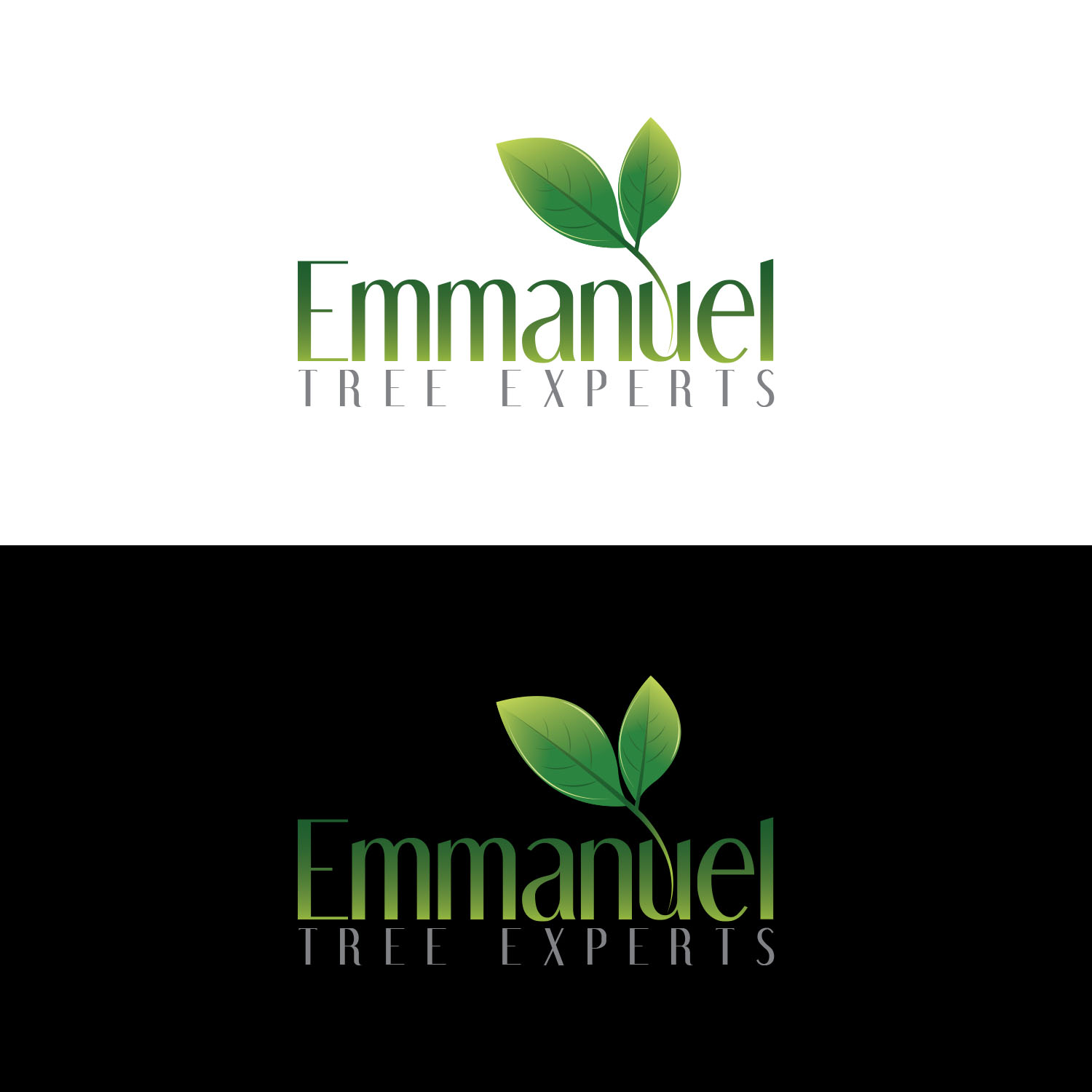 Logo Design by baqar.110panhwar for iProTechz LLC | Design #14903731