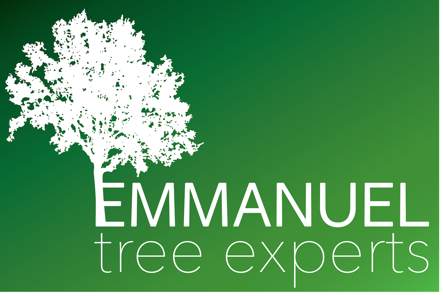 Logo Design by Kerri Elizabeth for iProTechz LLC | Design #14895273