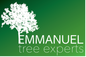 Logo Design by Kerri Elizabeth